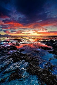 尼克斯主场惨败森林狼，遭遇四连败：冰封的麦迪逊，刺骨的寒风