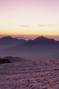CBA联赛争夺白热化，球员实力获逐步提升