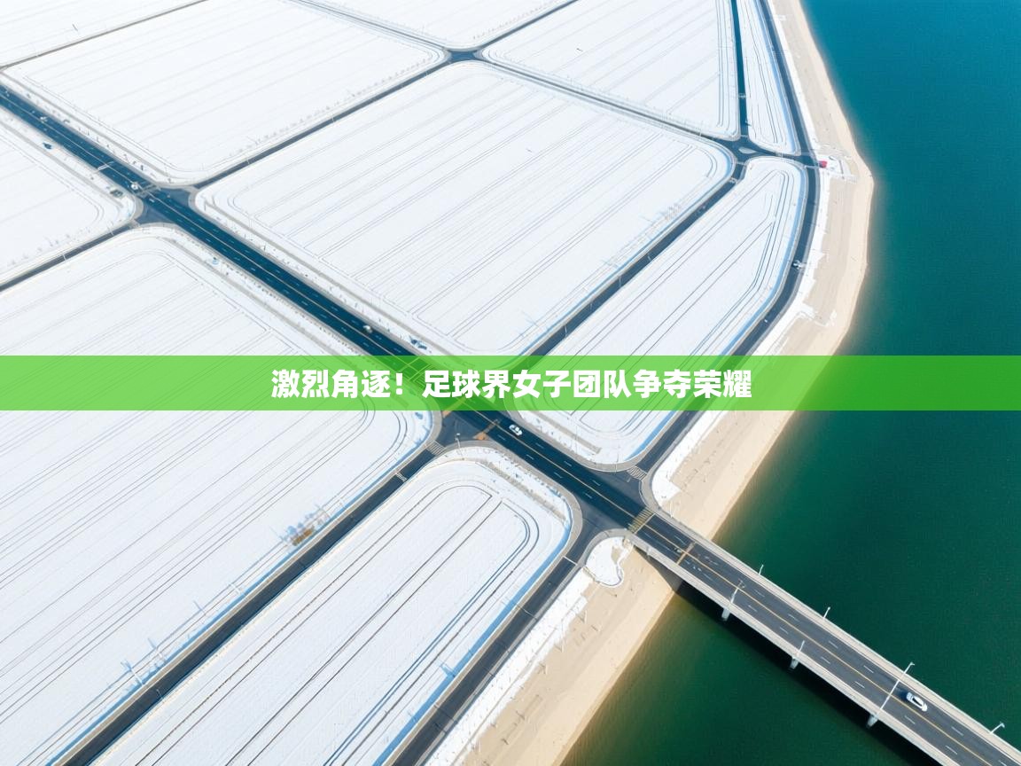 激烈角逐!足球界女子团队争夺荣耀 第2张